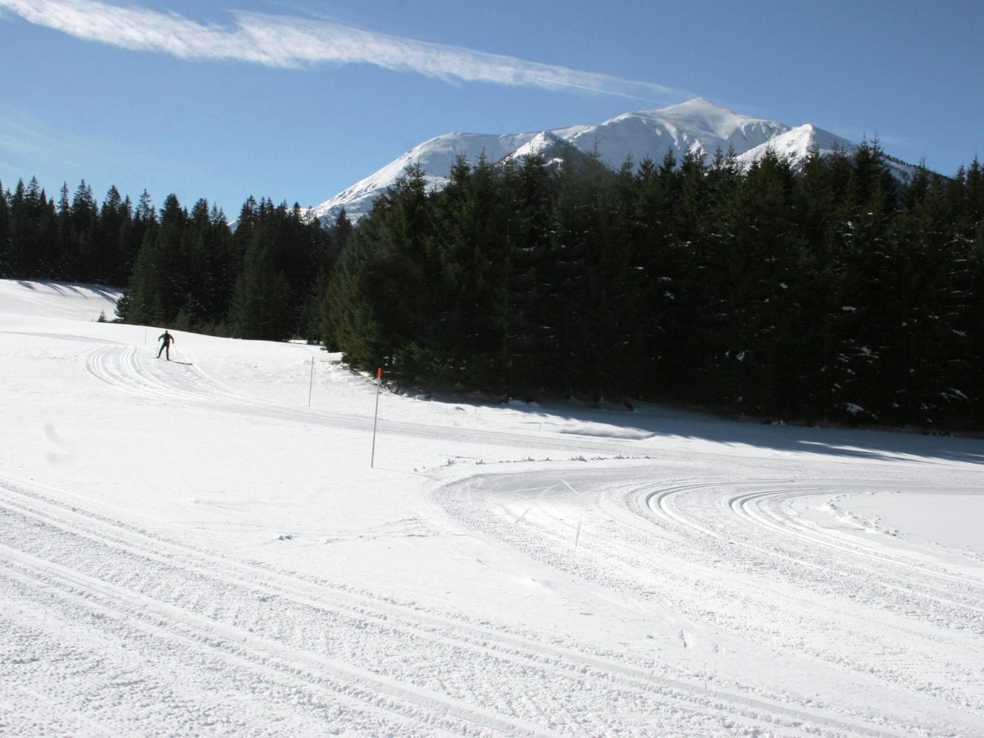 Chalet In Hohentauern Near Ski Area With Sauna 外观 照片